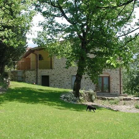 Santa Rosa Subbiano