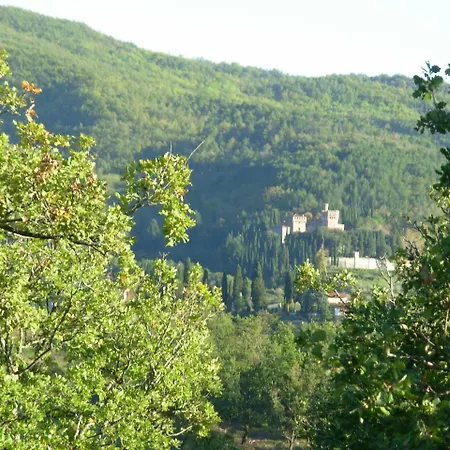 Santa Rosa *